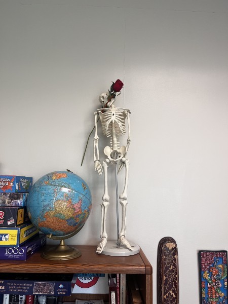 Model human skeleton holding a red rose beside a globe, stacked puzzles, and bookshelves.