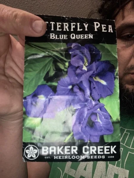 A Blue Queen butterfly pea seed packet.
