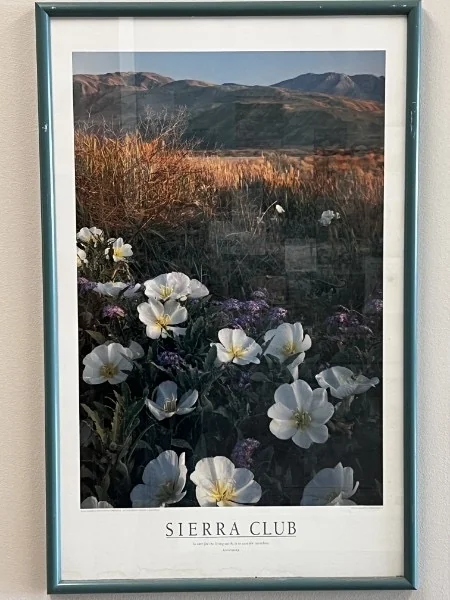 A Sierra Club conservation poster in the collection.
