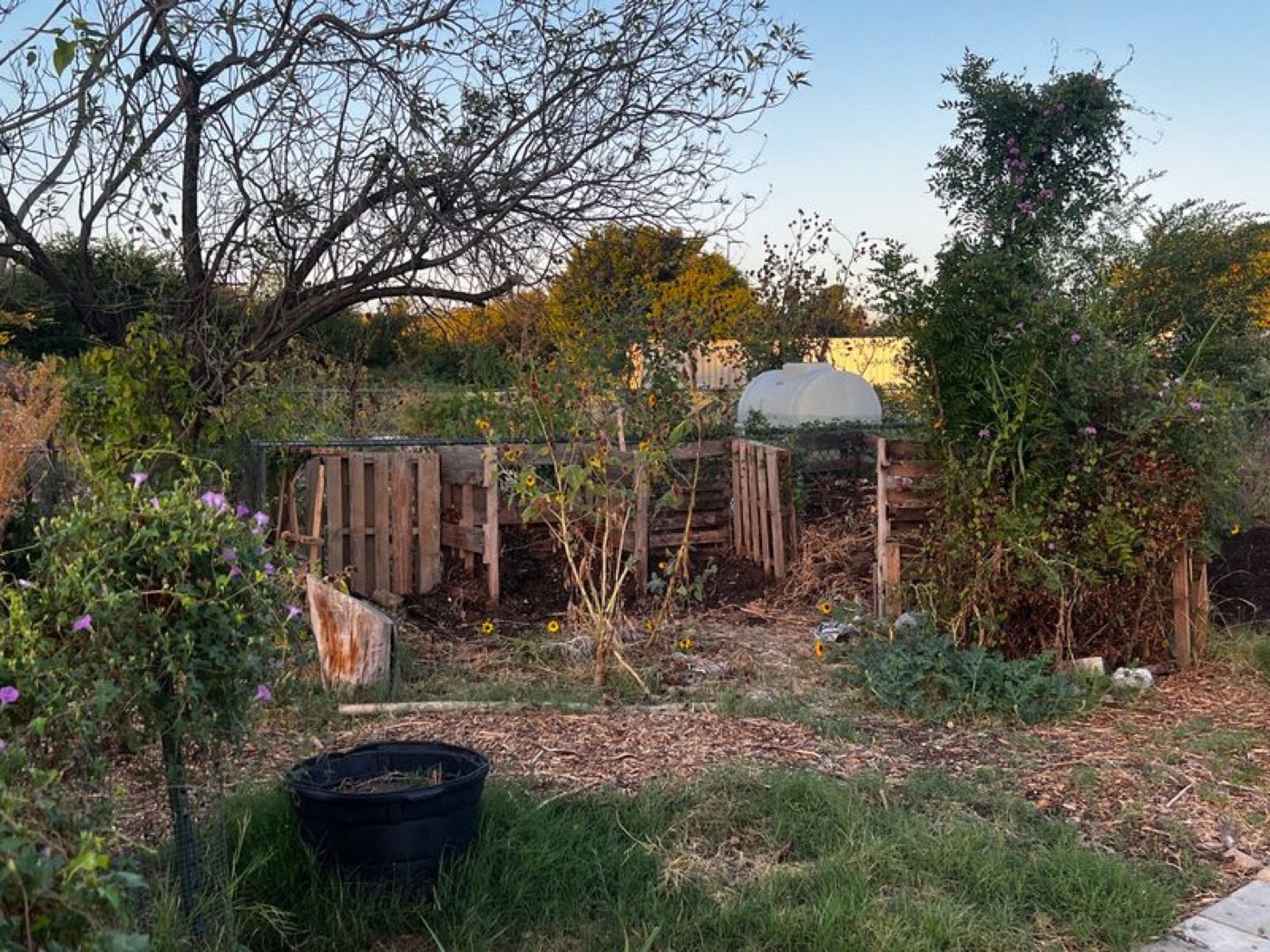 The composting station at the Southeast campus gardens.