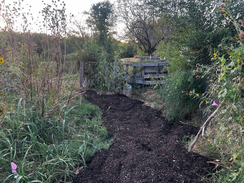 A planted path through the gardening complex at TCC Southeast.