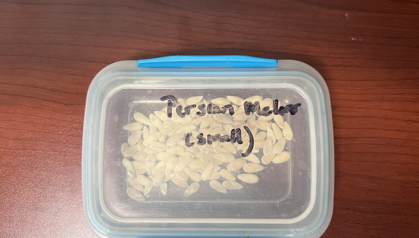 Saved seeds in a container labeled “Persian Melon (small).”