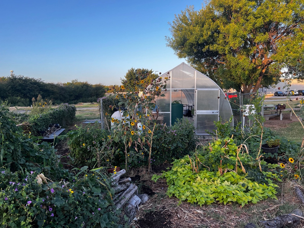 TCC Southeast greenhouse and garden