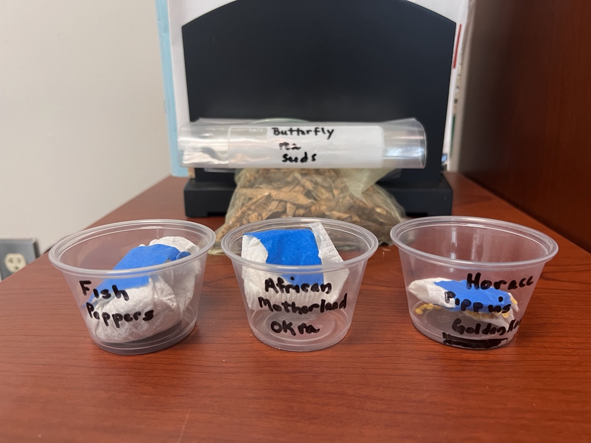 Labeled seed containers in the Center’s seed bank.
